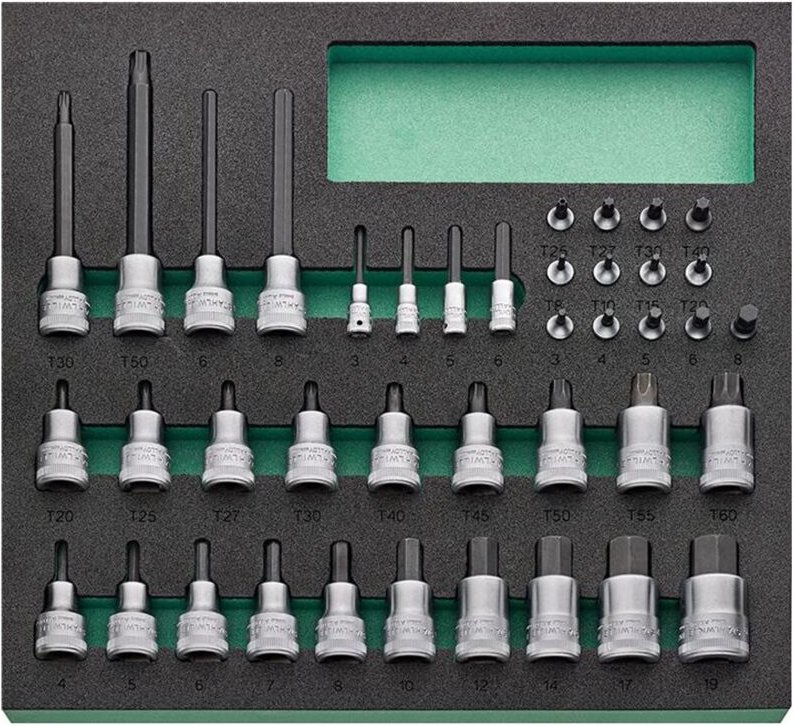 STAHLWILLE Werkzeugmodul 2/3 Schraubendreher-Einsätze TCS 11 821/40
