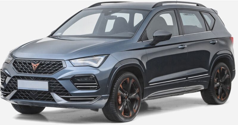 Seat Ateca – Chrom-Seitentürverkleidungen