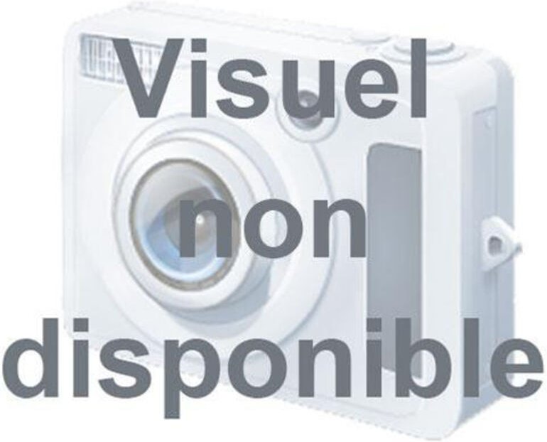 Tablett mit 4 Rädern und Griff, Tragfähigkeit 150 kg - Fischer Darex