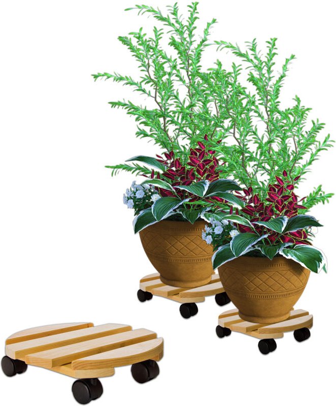 BigDean Pflanzenroller rund Buchenholz massives Holz 30 cm bis 120 Kg Rolluntersetzer