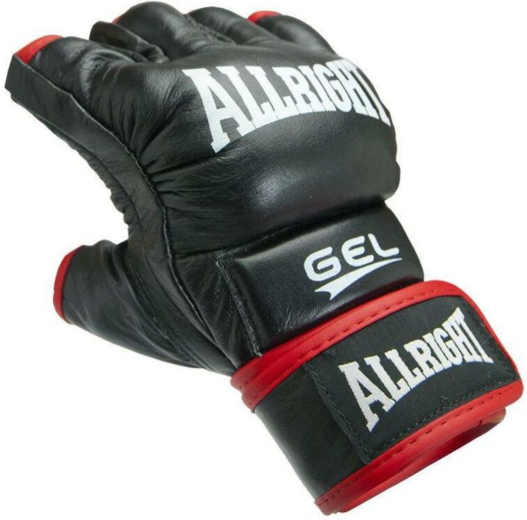 MMA PRO LEDERHANDSCHUHE schwarz rL