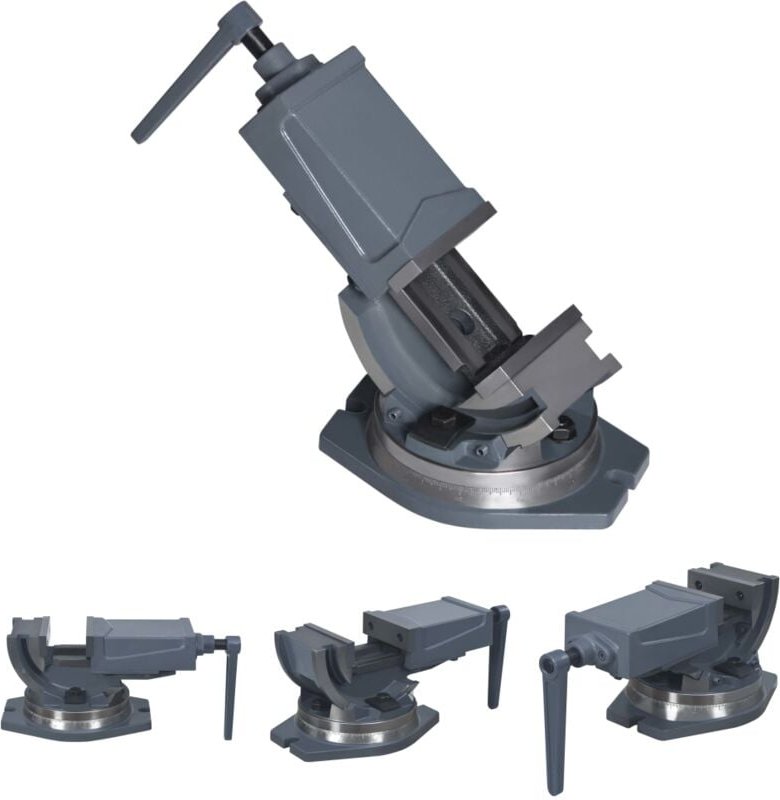 The Living Store 2-Achsen-Schraubstock Kippbar 100 mm - Schraubzwingen & -stöcke