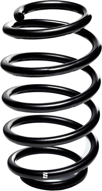 Eibach Originalfeder R21459