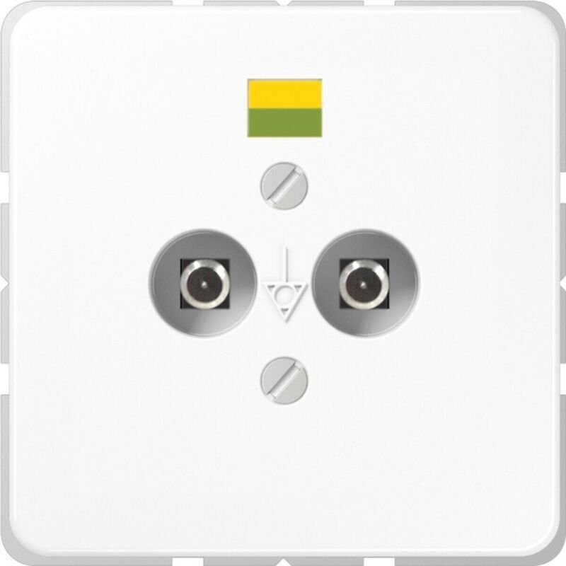 Jung Potential-Ausgl.Steckdose 2 Steckerstifte CD 565-2 WW