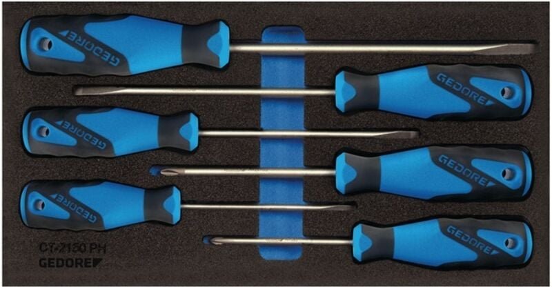 Gedore - Werkzeugmodul 1500 CT1-2150 ph 6-teilig 1/3-Modul Schlitz / ph