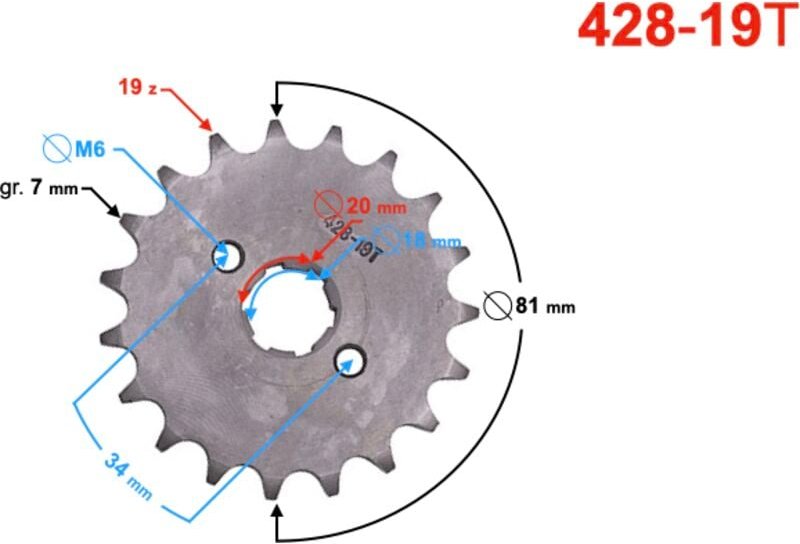 Moretti 19/428 Ausgangskettenrad für TZ125