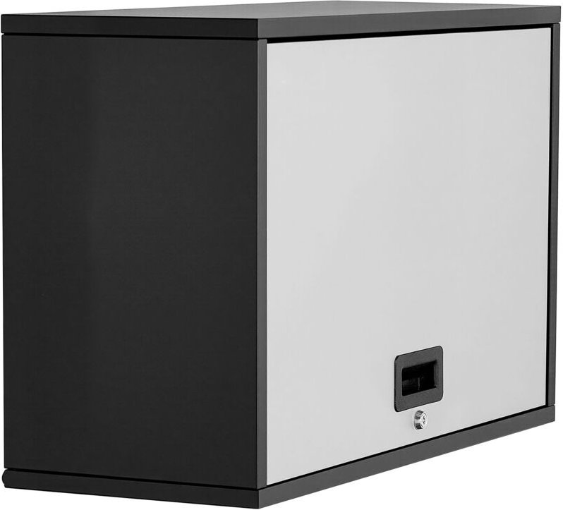 Mophorn Hängeschrank für Werkstatt, 770x305x500 mm, Schrank mit klappbarer Tür & Regal, 108,86 kg Traglast, Wandmontage ...