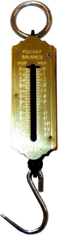 Lams Gewichtshaken Dynamometer 25 kg