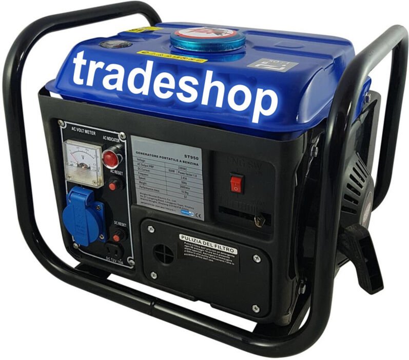 Trade Shop - ELEKTRISCHER GERICHT MANNER PORTATILE 650W MOTOR 2 TIMEN -