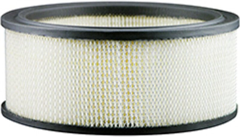 Luftfilter baldwin PA3901 - Äquivalent sa 12137 hifi filter