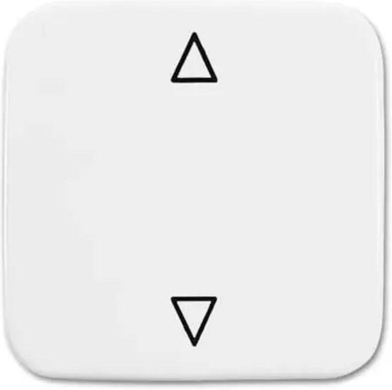 Busch-Jaeger Wippe Jalousietaster 2506 JA/02-214