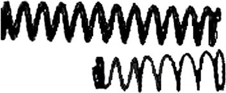 Rennsteig - Federn-Satz 2 Stück, Typ: 95
