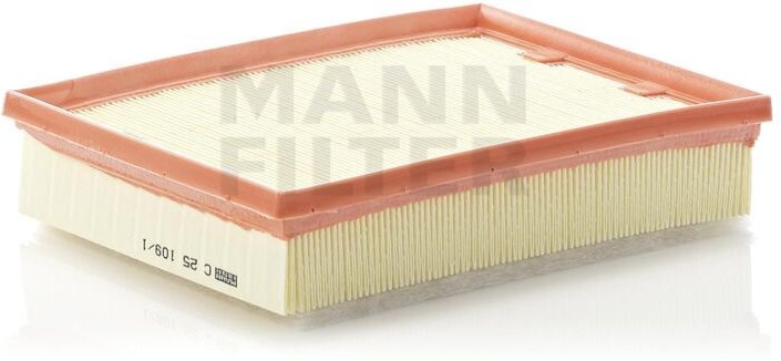 Luftfilter C251091 Mann