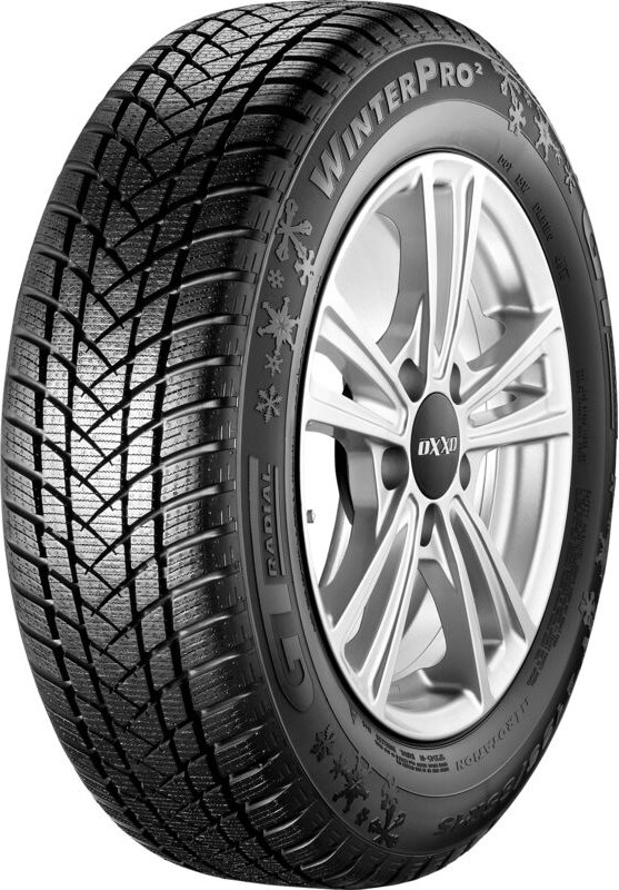 GT-RADIAL Winter 195/55 R16 TL 91H WINTERPRO2 XL BSW M+S 3PMSF