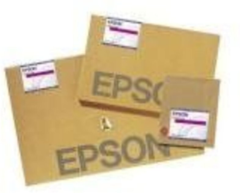 Epson EPSON C13S041784 Premium Luster, Fotopapier, glänzend, A4 (C13S041784)