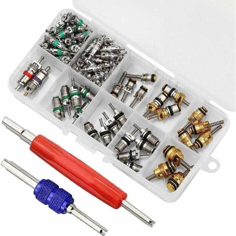 102 Stück Ventileinsätze für Klimaanlagen, Ventilschafteinsätze für R134A-Klimaanlagen im Auto, inklusive Demontagewerkz...