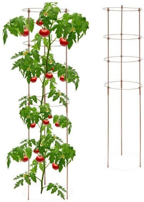 Brown plant supports with rings 120 cm