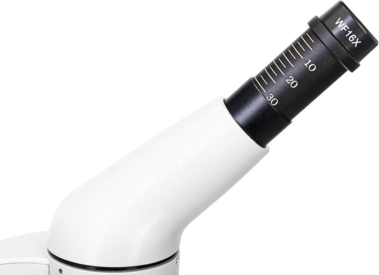 Levenhuk - Digitalmikroskop Rainbow D50L plus 2M, Mondstein de Mondstein de