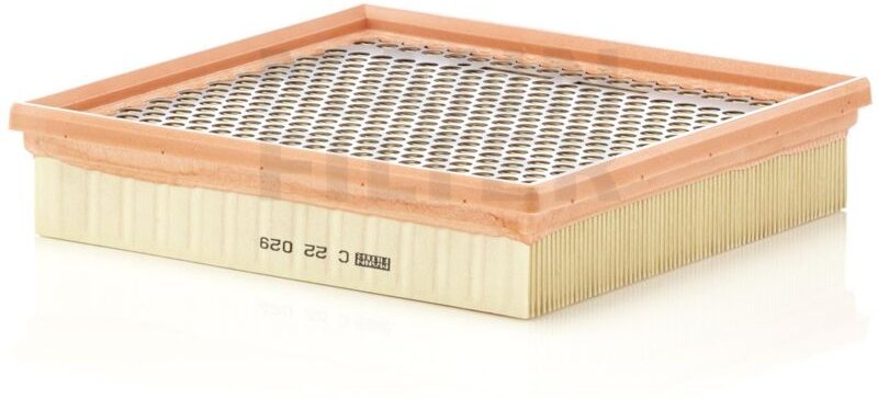 Luftfilter C22029 Mann