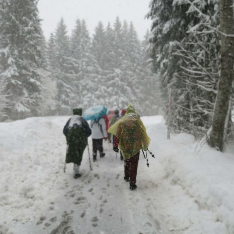 Einweg regenponcho 20er set 8