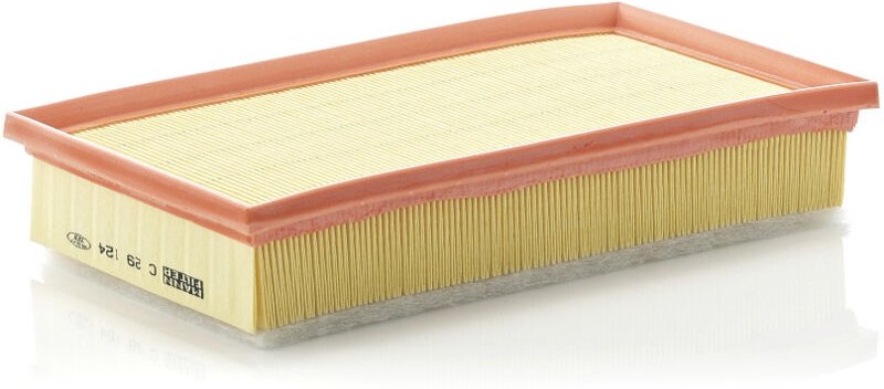 Luftfilter C29124 Mann