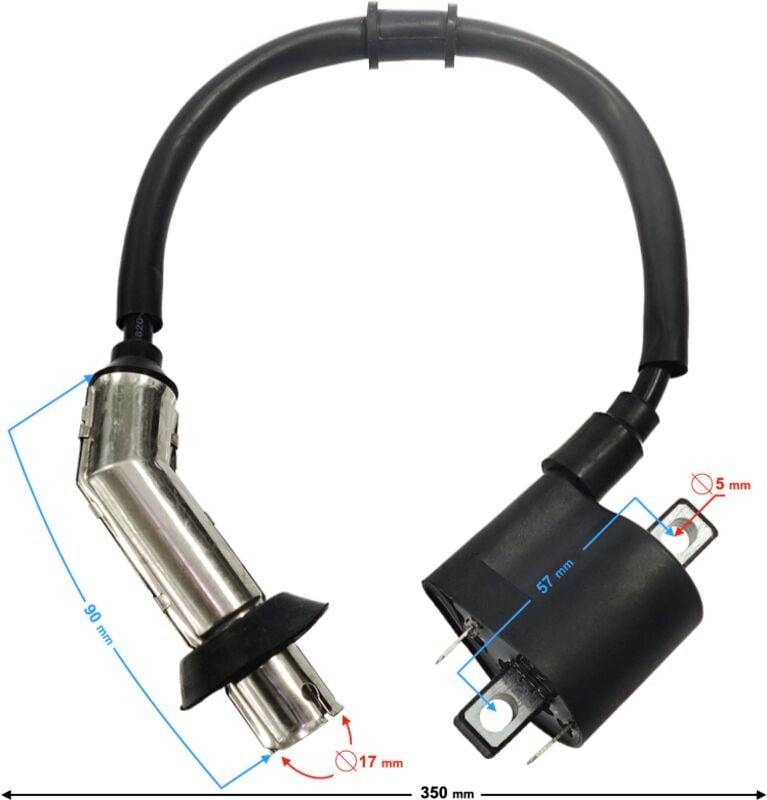 WN Falcon 125cc Einspritzspule