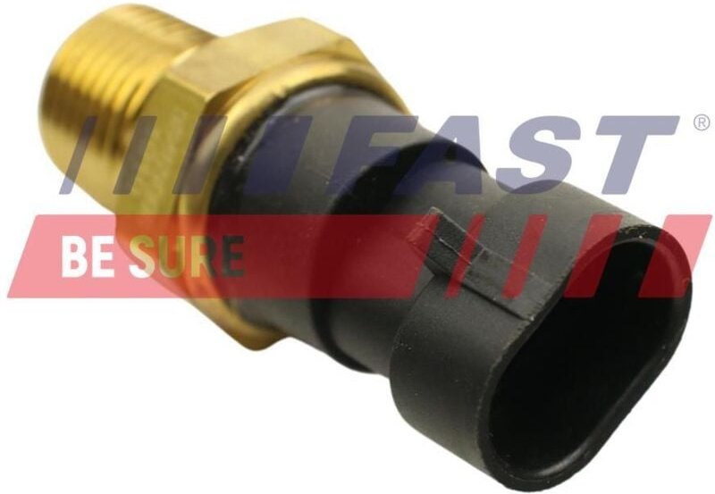 Flüssigkeitstemperatursensor Ft80106 Fast
