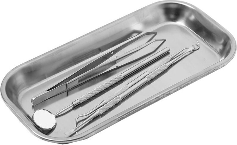 Vtizikl Tuteur pour végétaux, Cloche de protection pour plantes en métal - Lot de 5, Blanc