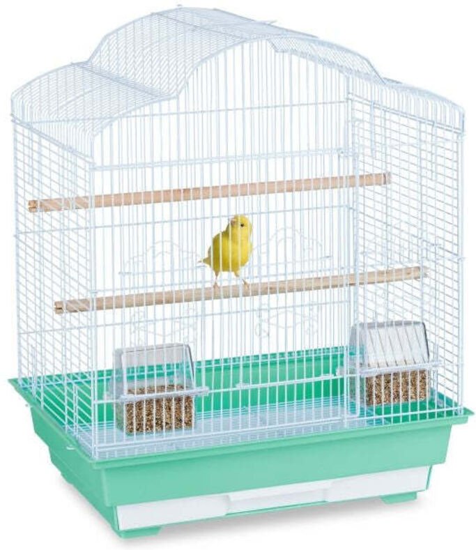 Bird cage with accessories