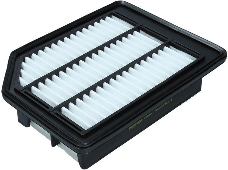 Luftfilter F253101 Kamoka