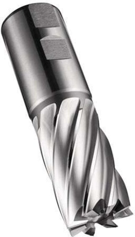 Schaftfräser C247 DIN 844 K D.25,4mm Schneiden-L.45mm HSS-E-PM Blank 30Grad Z.5