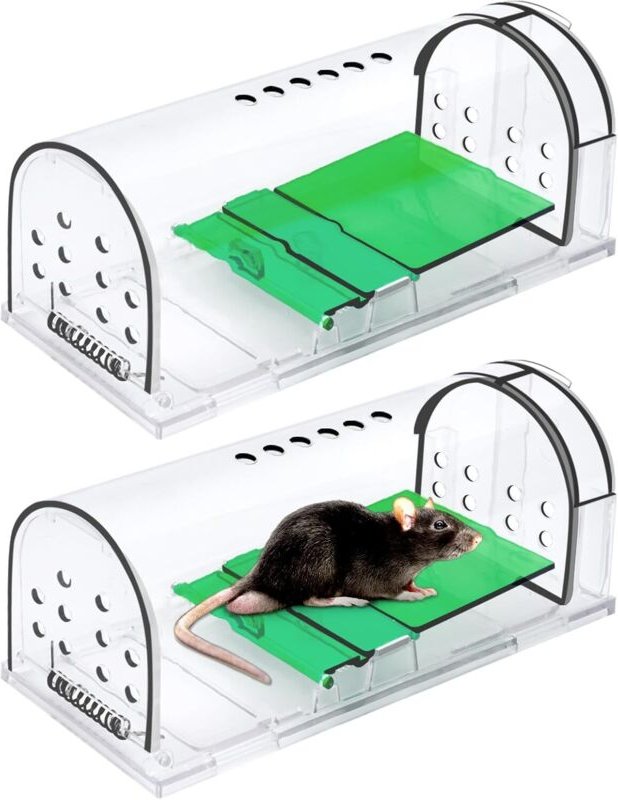 Zwei transparente Mausefallen, je 173 x 62 x 65 mm, berührungslose Mausefallen für Küche, Garten und Dachboden.