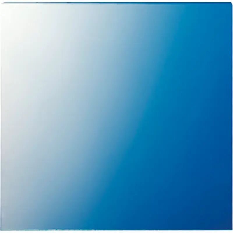 Jung Scheibe 62,5x61x1mm 61 GL