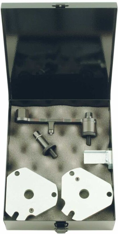 Motoreinstell-Werkzeug-Satz für Fiat, 5-tlg