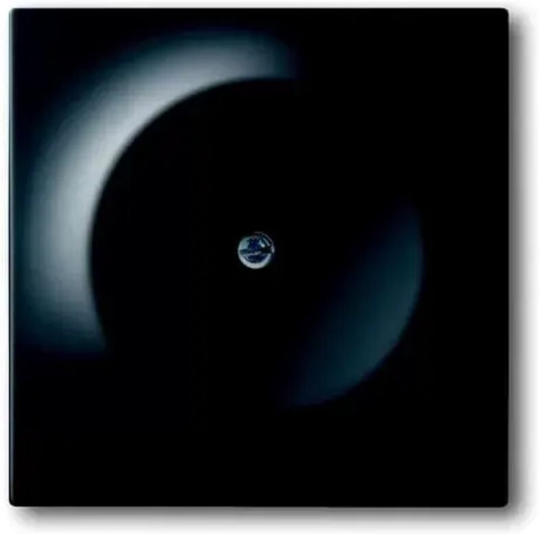 Busch-Jaeger Zentralscheibe sw mt Blindabdeckung 1742-775