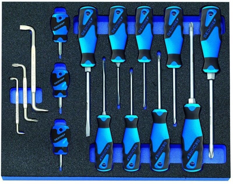 2005 CT2-2160 Schraubendreher-Satz in Check-Tool-Modul, 15-teilig
