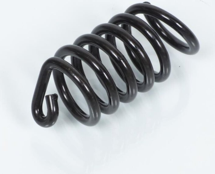 Feder für Solex Solex 50 Mikron Zentrale Sattelfeder schwarz neu
