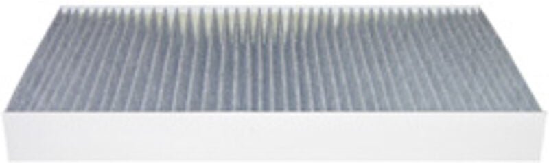 Flach gefalteter Luftfilter baldwin -PA4954