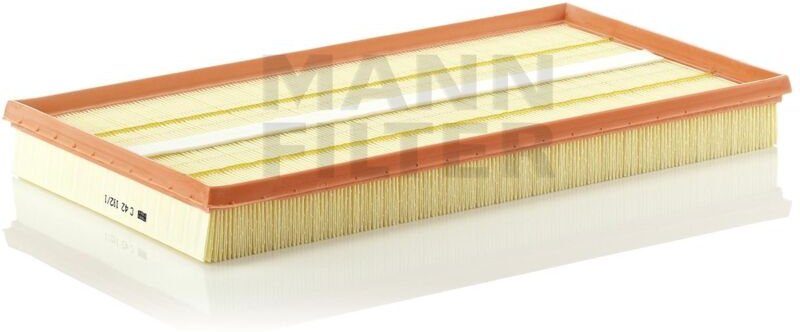 Luftfilter C421921 Mann