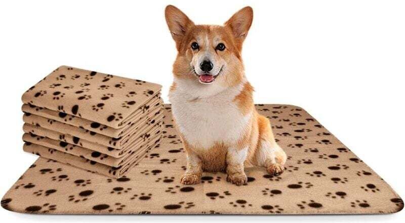 Vtizikl Lot de 6 couvertures pour chien, douces et lavables, en polaire, pour chiens, chats et chiots, beige, 75 x 75 cm