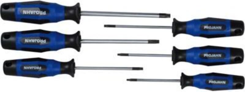 Projahn Schraubendreher Satz 6-tlg. TX