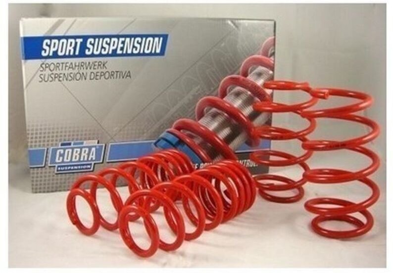 Feder-Kit Cobra COB078243