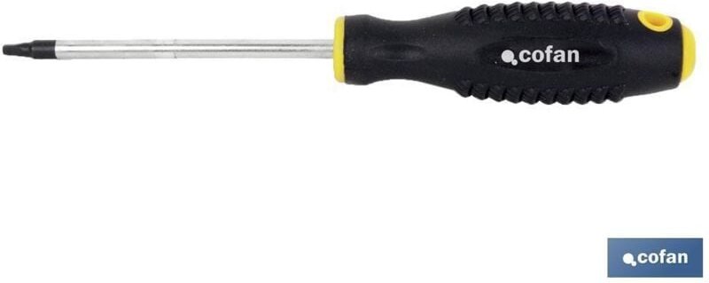 Quadratischer Cr-Molybdän-Schraubendreher R-2x100