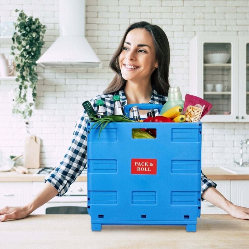 Zusammenklappbarer einkaufswagen mit teleskopgriff 35 kg tragkraft