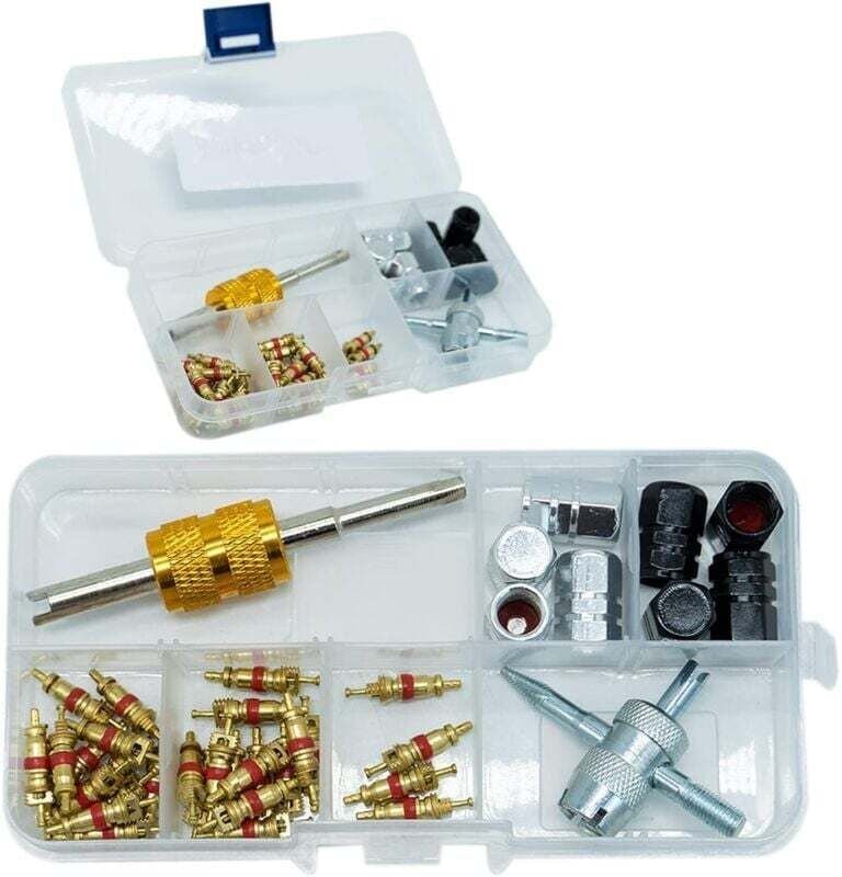 Dolaso - 40-teiliges Reifenventil-Entferner-Werkzeug, Ventilkern-Entferner-Reparaturwerkzeug mit Ventilkern für den Auto...