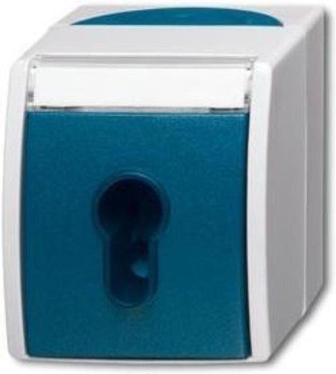 Busch-Jaeger Schlüsselschalter AP 2733 SLW-53