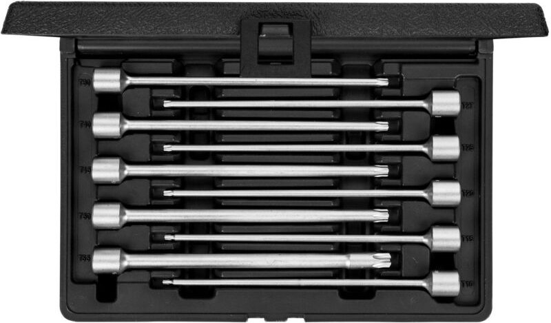 R58003002 Schraubendrehereinsätze 3/8 tx 10-teilig