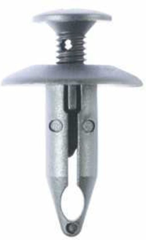 Push-Type-Clip für Ford,10er Pack