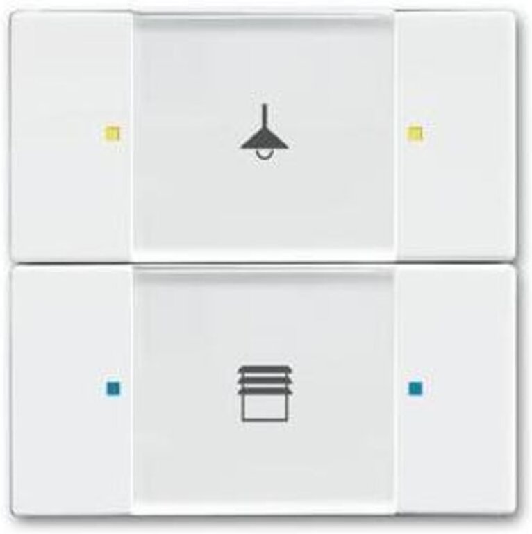 Busch-Jaeger Tastsensor 2/4fach Multifunktion 6126/02-84