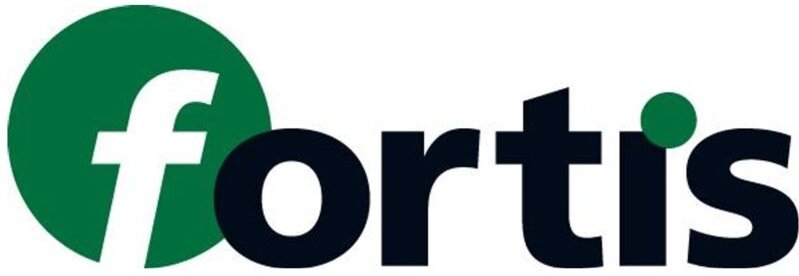 Fortis Tiefenmessschieber 500/0,01mm